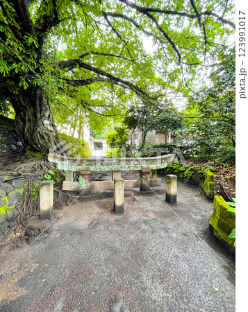 鹿児島・桜島黒神埋没鳥居 鹿児島・桜島黒神埋没鳥居 123991017