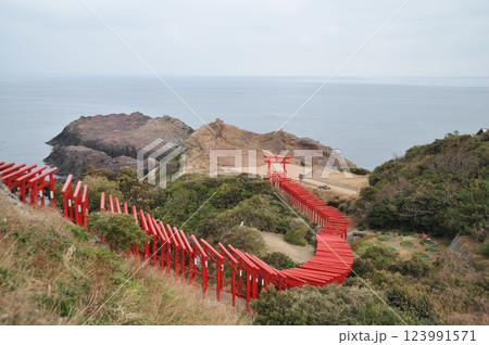 山口県長門市 元乃隅神社2025年① 山口県長門市 元乃隅神社2025年① 123991571
