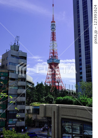 麻布台 123991624