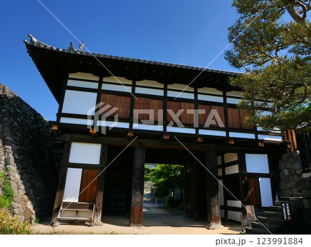 小諸城大手門(2023) 123991884