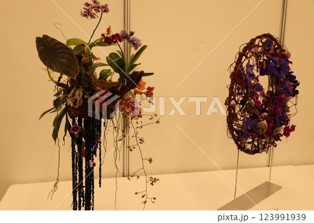 《世界のラン展》色とりどりの蘭・勢揃い・多彩多様 《世界のラン展》色とりどりの蘭・勢揃い・多彩多様 123991939