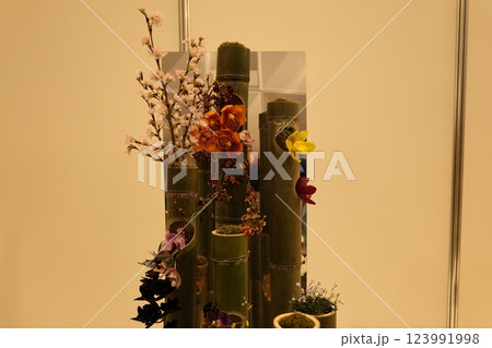 《世界のラン展》色とりどりの蘭・勢揃い・多彩多様 《世界のラン展》色とりどりの蘭・勢揃い・多彩多様 123991998