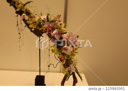 《世界のラン展》色とりどりの蘭・勢揃い・多彩多様 《世界のラン展》色とりどりの蘭・勢揃い・多彩多様 123992001