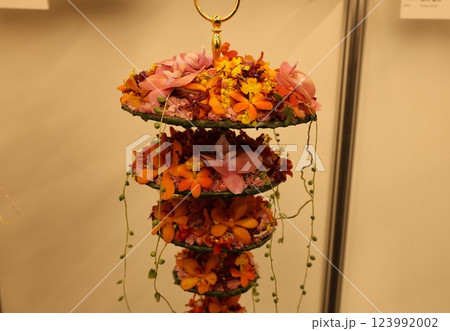 《世界のラン展》色とりどりの蘭・勢揃い・多彩多様 123992002