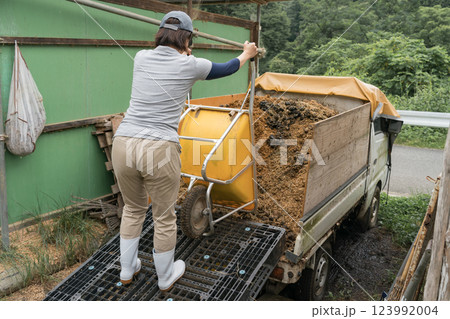 involved with horses 123992004