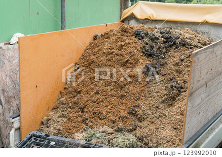 involved with horses 123992010