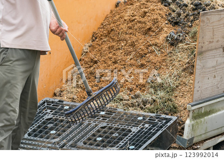 involved with horses involved with horses 123992014