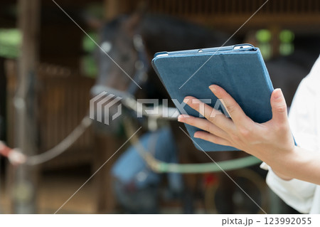 involved with horses involved with horses 123992055