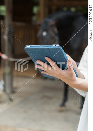 involved with horses involved with horses 123992059