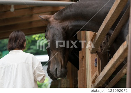 involved with horses involved with horses 123992072