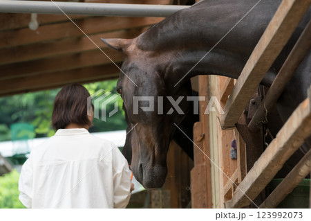 involved with horses involved with horses 123992073