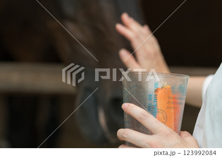 involved with horses involved with horses 123992084