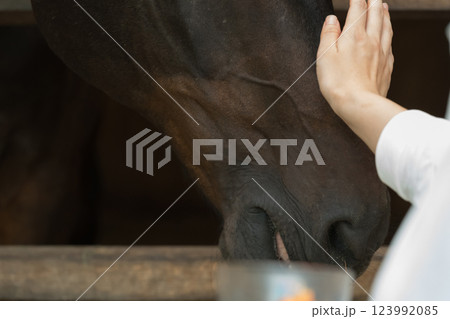 involved with horses 123992085