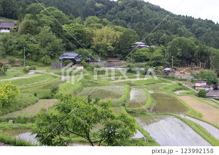 能勢 長谷の棚田 皐月 田植え 能勢 長谷の棚田 皐月 田植え 123992158