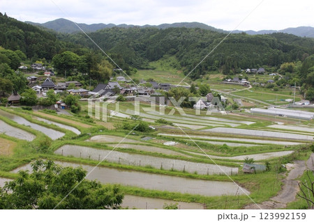 能勢　長谷の棚田　皐月　田植え 123992159