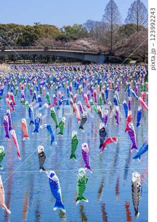 館林市鯉のぼりの里まつり 群馬県 館林市鯉のぼりの里まつり 群馬県 123992243