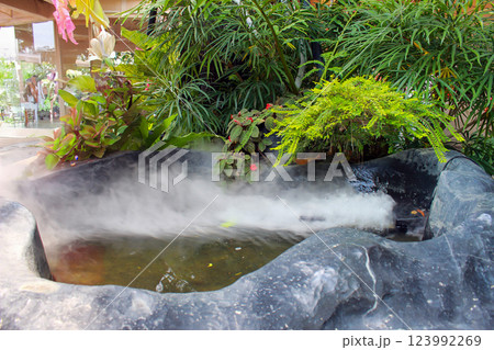 A pond with plants and mist makes a tranquil, lovely setting. A pond with plants and mist makes a tranquil, lovely setting. 123992269