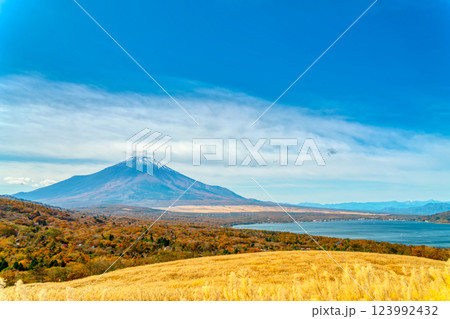秋の富士山・山中湖 秋の富士山・山中湖 123992432