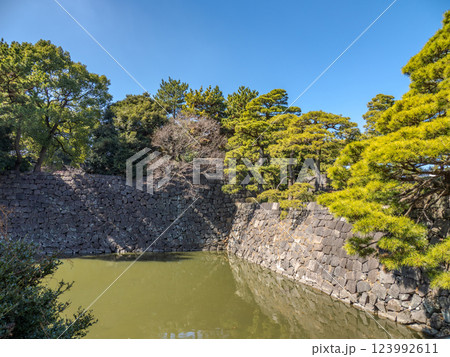 皇居東御苑　天神濠の松と石垣 123992611