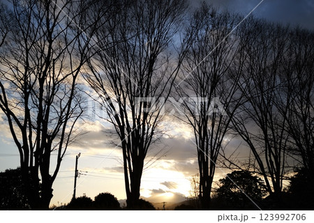 夕暮れの街並み 123992706
