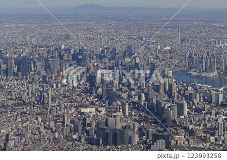 空から見た東京都内 空から見た東京都内 123993258
