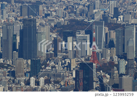 空から見た東京都内 空から見た東京都内 123993259