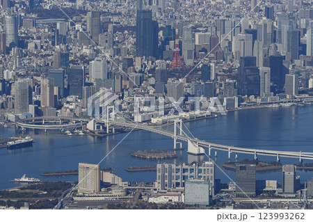 空から見た東京都内 空から見た東京都内 123993262