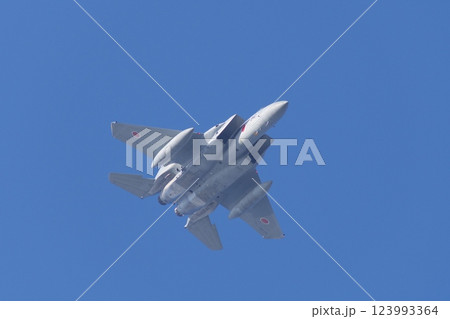 航空祭で機動飛行を行う航空自衛隊のF-15 航空祭で機動飛行を行う航空自衛隊のF-15 123993364