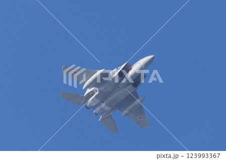 航空祭で機動飛行を行う航空自衛隊のF-15 123993367