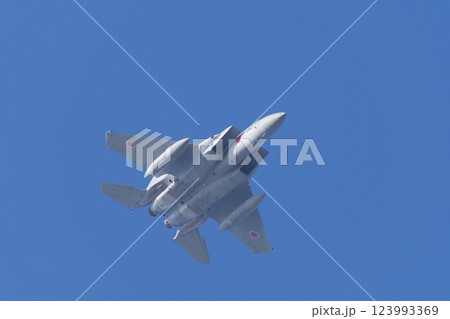 航空祭で機動飛行を行う航空自衛隊のF-15 航空祭で機動飛行を行う航空自衛隊のF-15 123993369