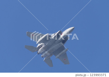 航空祭で機動飛行を行う航空自衛隊のF-15 123993371