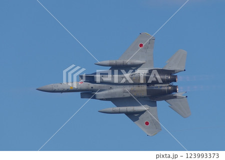 航空祭で機動飛行を行う航空自衛隊のF-15 123993373