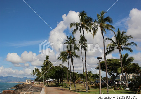 ハワイの景色 123993575