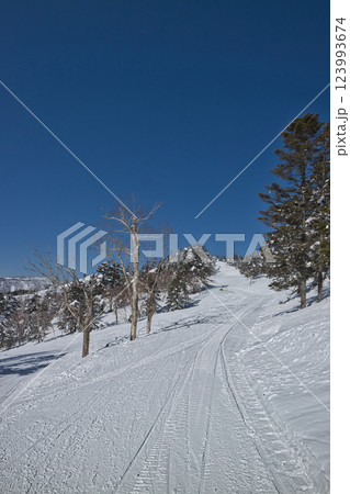 雪山 スキー場からの風景 雪山 スキー場からの風景 123993674
