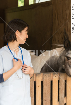 involved with horses 123993742