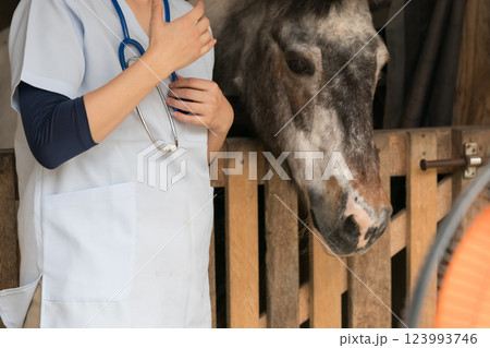 involved with horses involved with horses 123993746