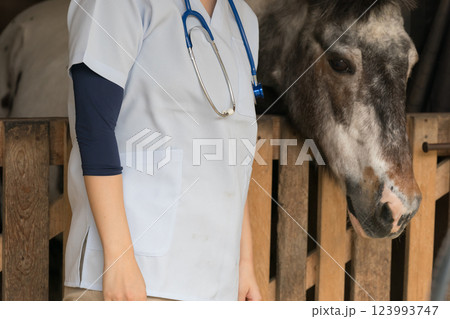 involved with horses 123993747