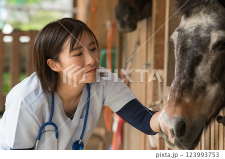involved with horses involved with horses 123993753