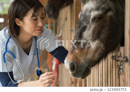 involved with horses 123993755