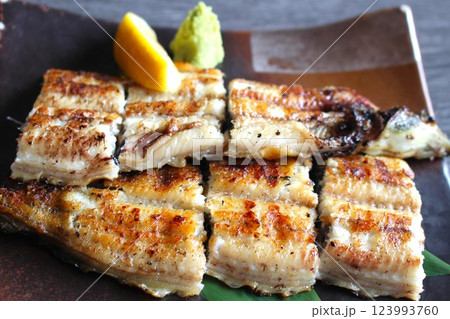 絶品のうなぎの白焼き 絶品のうなぎの白焼き 123993760