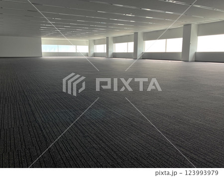 改修工事の完了したオフィスフロア　原状復旧工事 123993979
