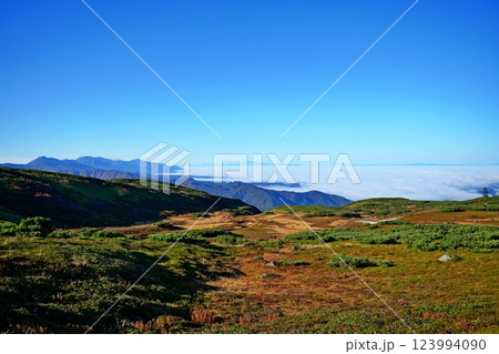 旭岳から望む十勝岳連峰と雲海の眺め 123994090