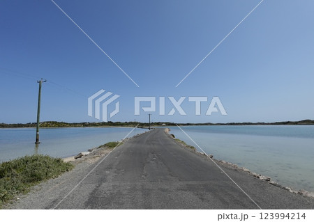 真っすぐに続く海辺の道 123994214