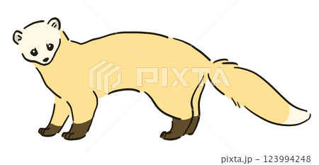 冬毛のテンのイラスト 123994248