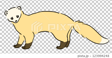 冬毛のテンのイラスト 123994248