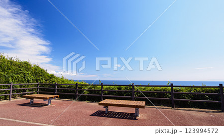 夏の城ヶ島 123994572