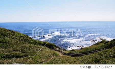 夏の城ヶ島 123994587