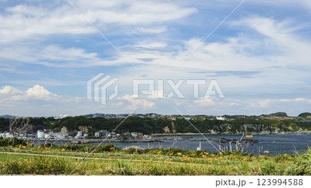 夏の城ヶ島 夏の城ヶ島 123994588