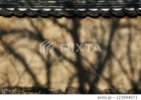 土壁と木の影 123994671