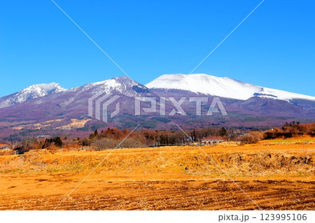 2月の冠雪の浅間山 信州の山々 信州に風景 2月の冠雪の浅間山 信州の山々 信州に風景 123995106